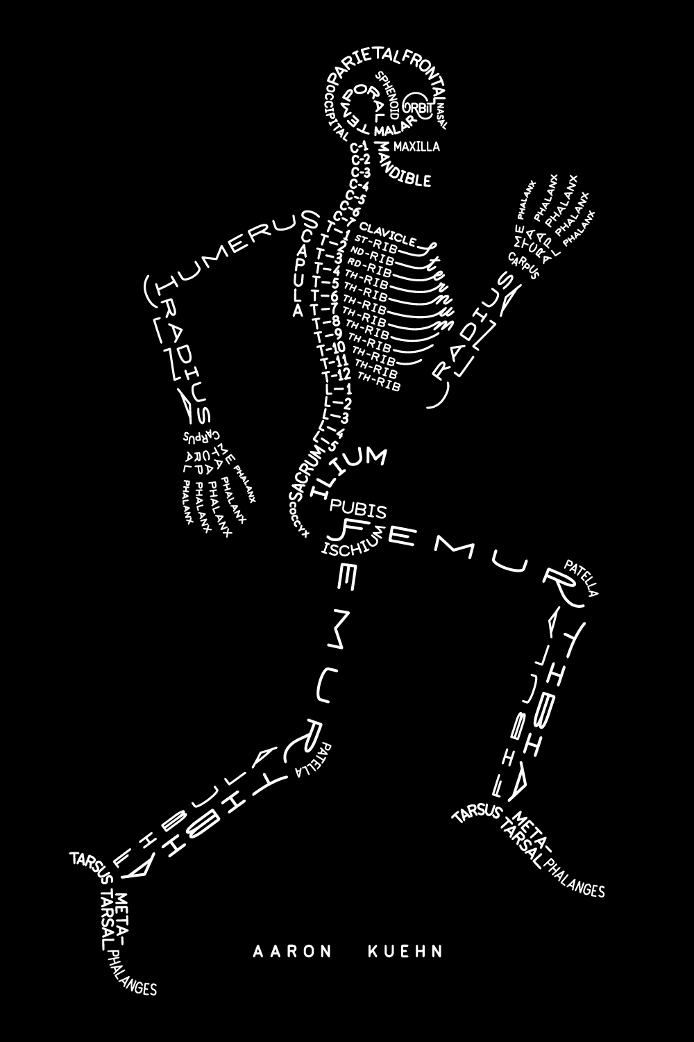A radiological anatomical diagram and model of the human skeletal system in a running pose, composed of the names of the bones using typography.