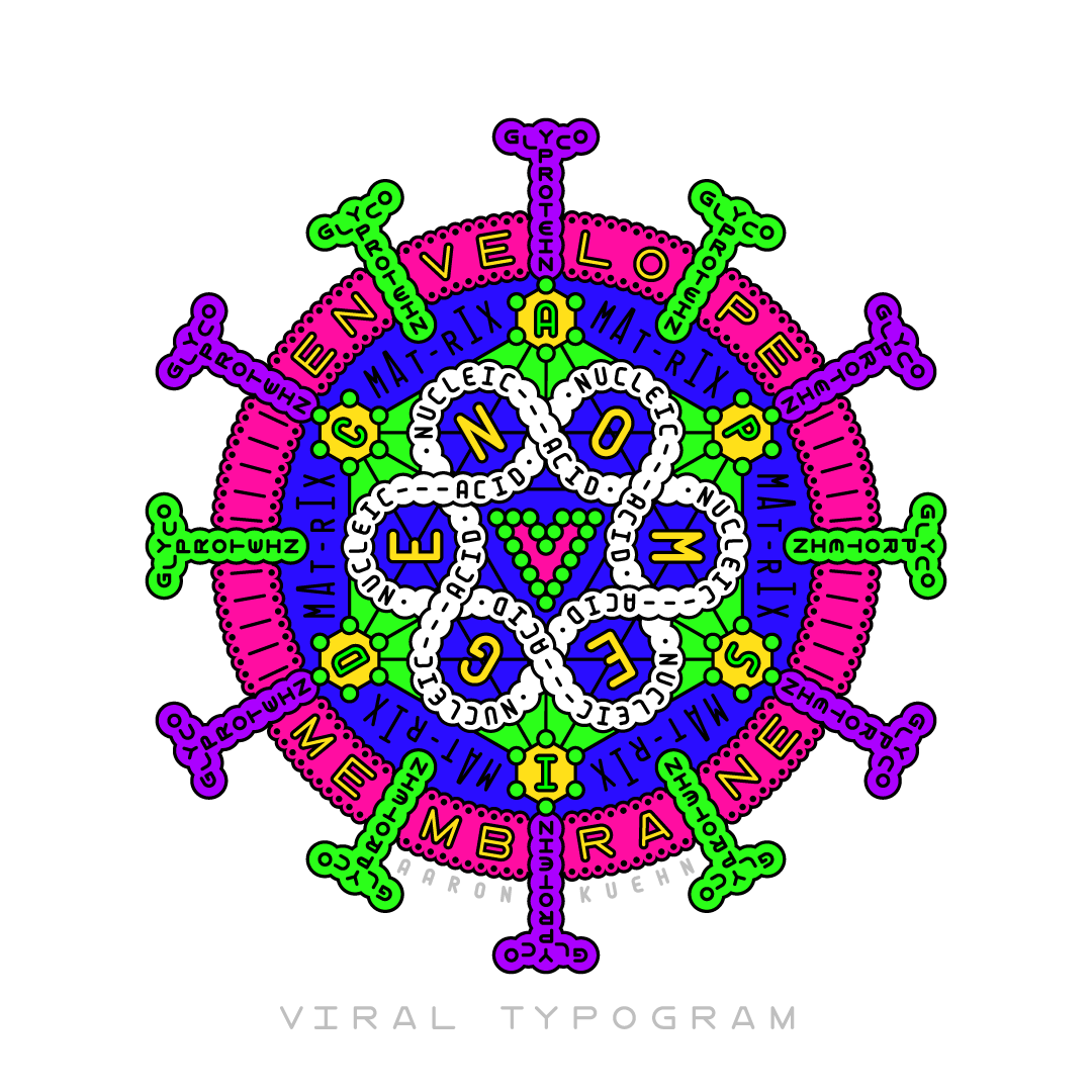 A diagram and model of a virus particle (virion) in cross section, constructed using styled typography.